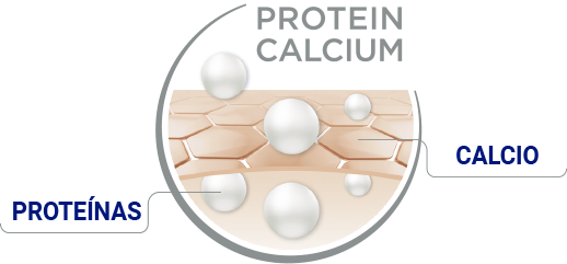 propiedades reparadoras y nutritivas con proteína y calcio